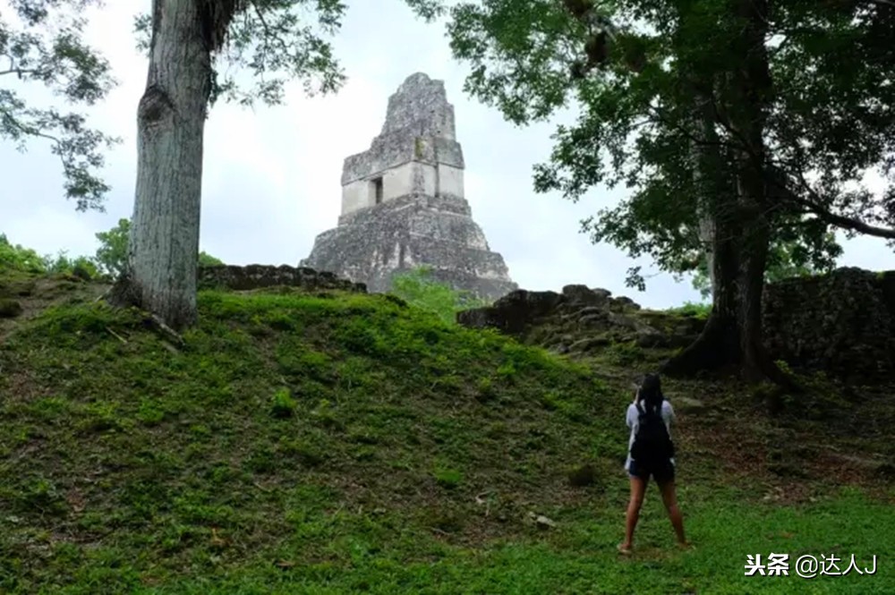 小天绝地求生,小天蜘蛛