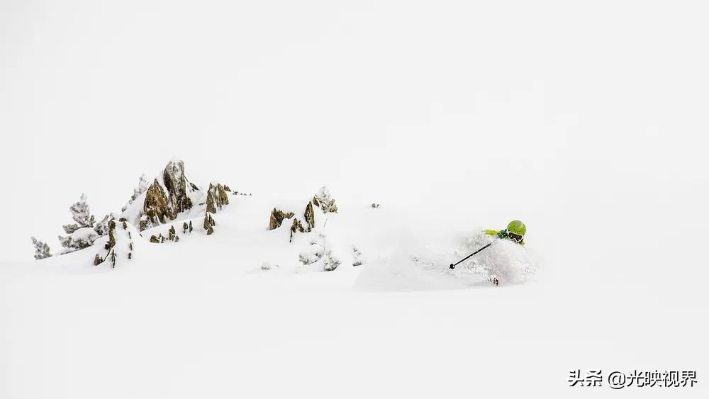 2022年度的ipa摄影大赛获奖作品,2020ippa摄影大赛奖项公布