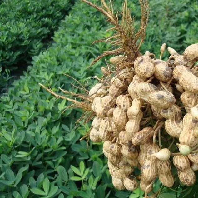 旅游中的回忆画,回忆生活照片的句子