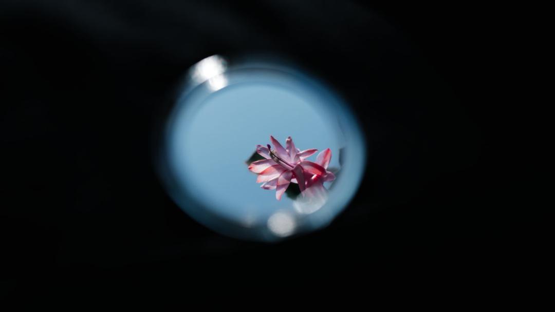 从一个红包看出男人心里的位置,从红包看出一个男人爱你吗