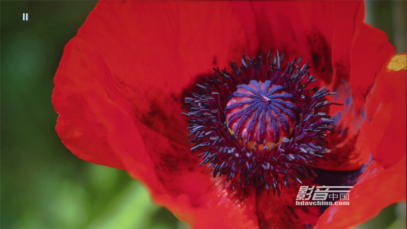 viewsonic优派px748-4k,viewsonic优派投影仪