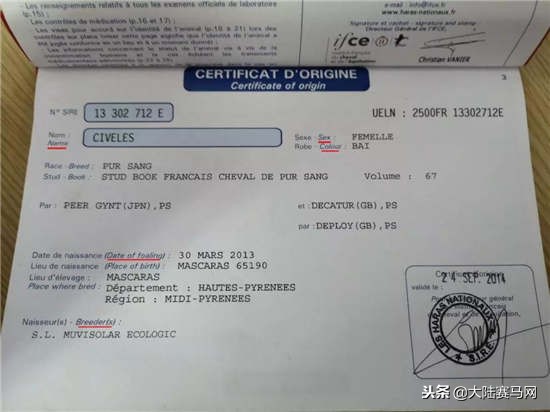 马也有护照？中国、日本的最好辨认，法国居然这么写！