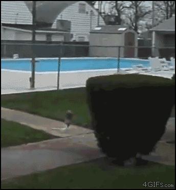 百香果的威力有多强,百香果果酱爆炸威力