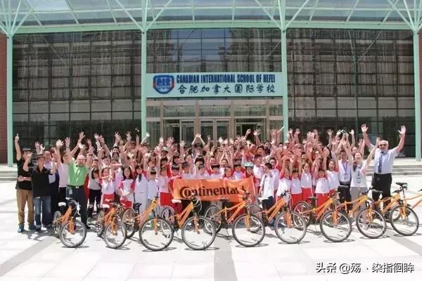 合肥十佳学校,合肥小学贵族学校排名