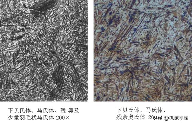 马氏体、奥氏体、珠光体，20种材料彩色金相，带你轻松识别