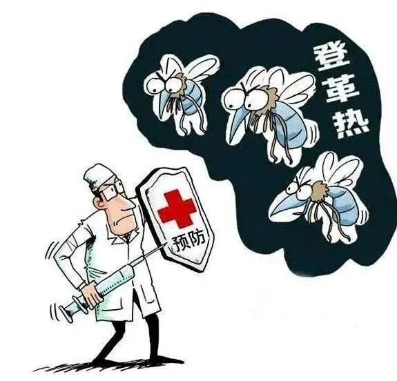 警惕！又到“登革热”高发期，临沂疾控提醒：慎防蚊子“叮！叮！叮！”