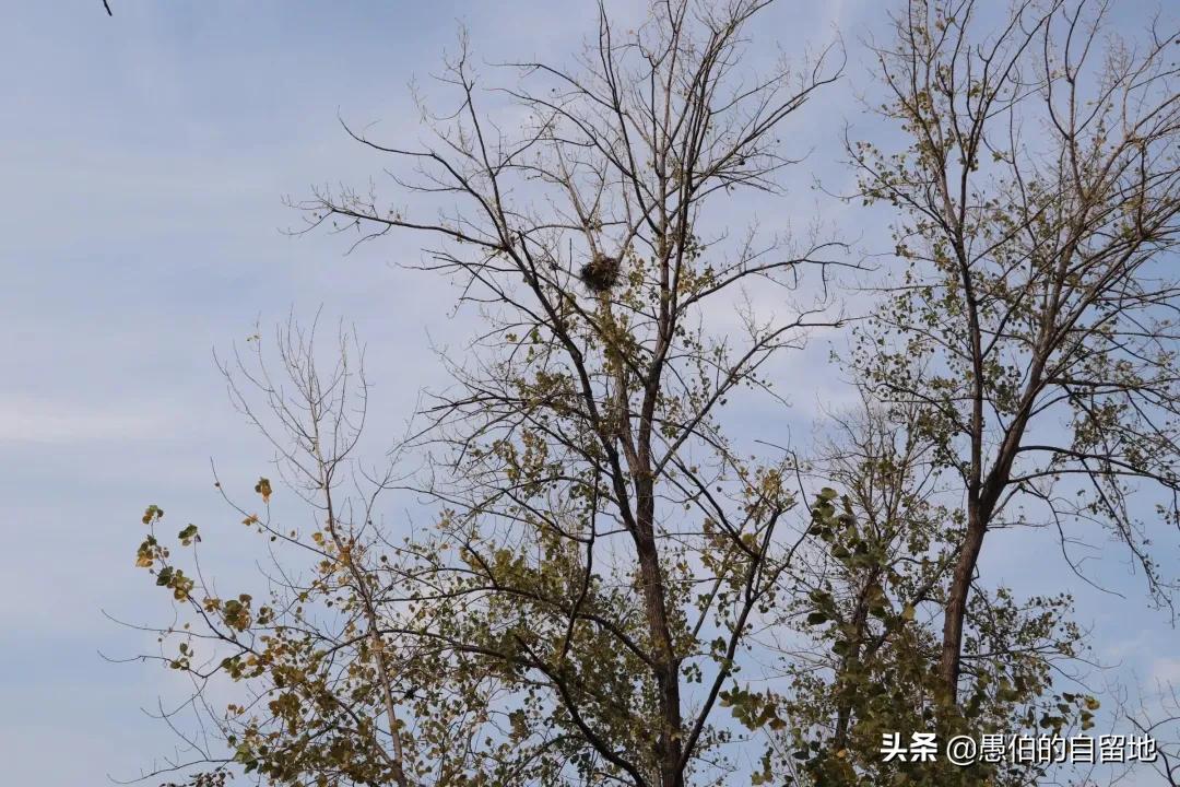 那年，我偷偷放走了村里的那个“蛮子”