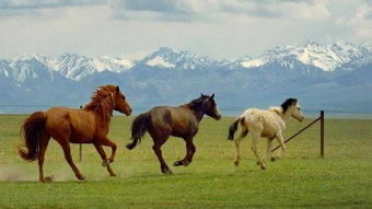 神秘消失的古国完整版,神秘消失的古国全集