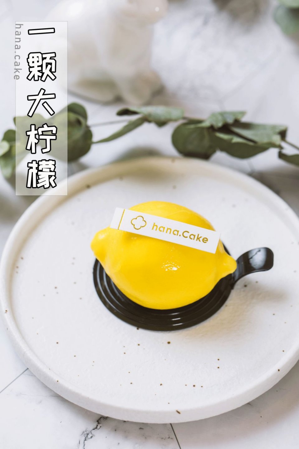 体育西复式公寓,体育西复式单间