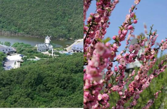 春季金石滩旅游,五一金滩旅游攻略