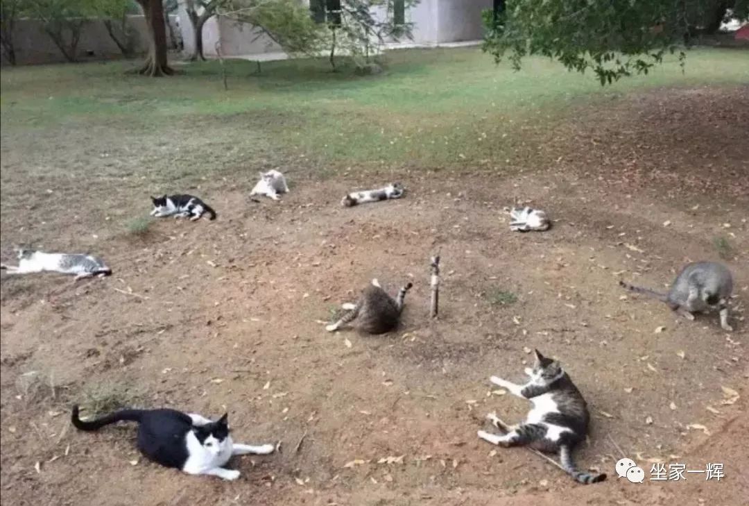 常见的20种网赚骗术揭秘,韭菜有效套路