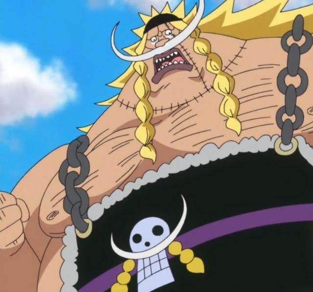 海贼王七武海实力排名,海贼王里的王下七武海排名