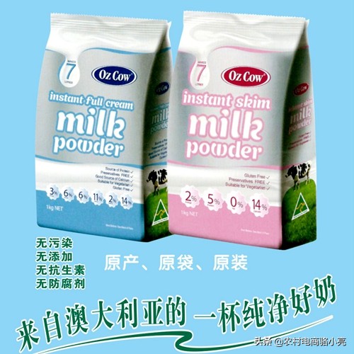 广东金巢电子商务股份公司发展历程和简介