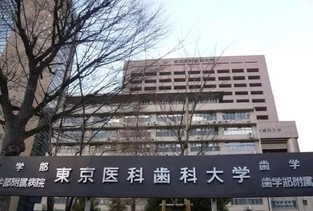 124年,祖孙三代人,死磕一把牙刷,年售6000万支