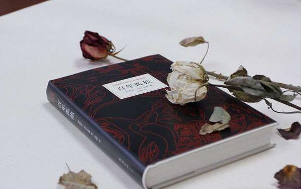 《百年孤独》书笔记摘抄及感悟,百年孤独这本书解说