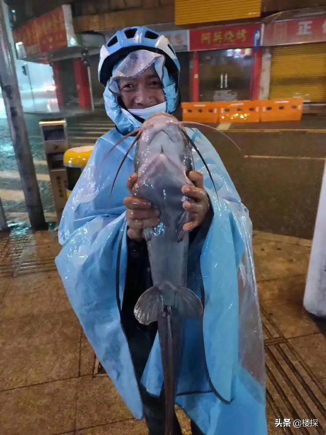 东莞遇暴雨哪里停车最安全,广东暴雨如何防止车被淹