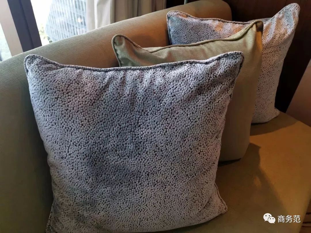 为什么戴妃这么美,戴妃为什么喜欢老佛爷