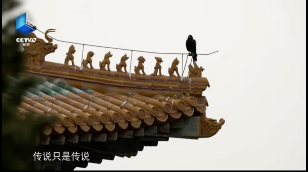 有关明朝朱元璋的纪录片,纪录片中国明朝朱元璋