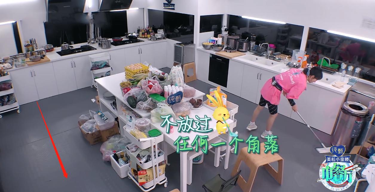 中餐厅4赵丽颖吐槽太狠,中餐厅赵丽颖为什么被骂