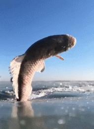 拯救不开心歌曲,拯救不开心团队