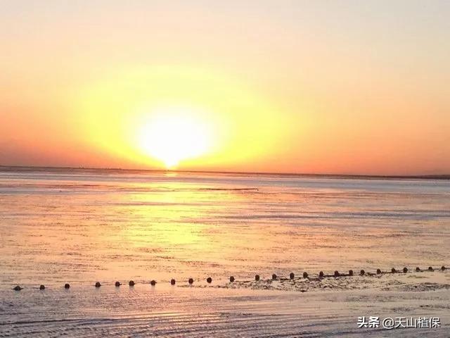 伽师县发展,伽师发展