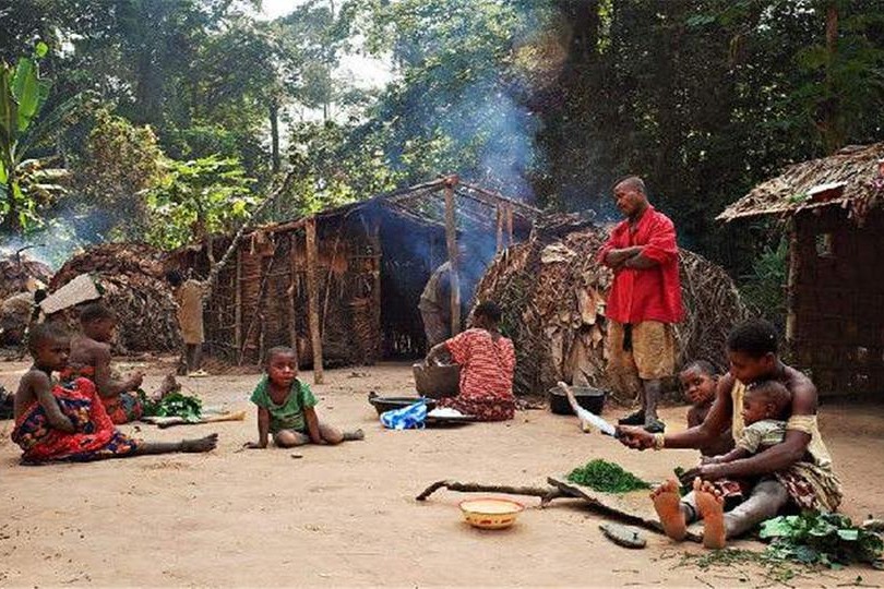 俾格米人身材如侏儒般矮小，为何8岁就能孕育下一代？