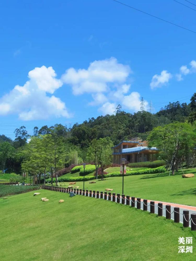 不离深,深圳高颜值绿道推荐一日游正好