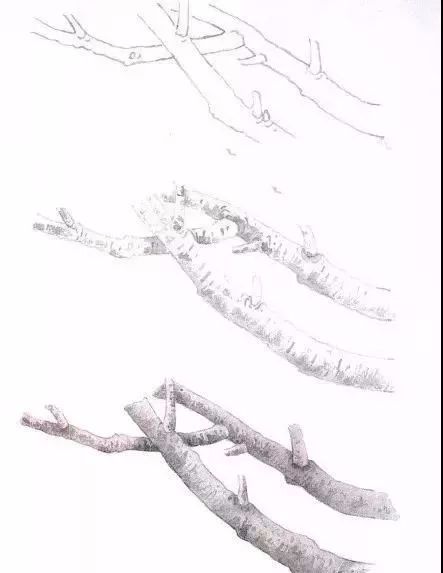 工笔梅花的分染上色教程,工笔梅花的10种设色技法收藏起来