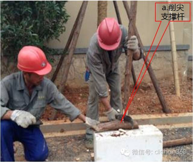 园林景观交付前十三道评估项,园林交付评估细节有哪些