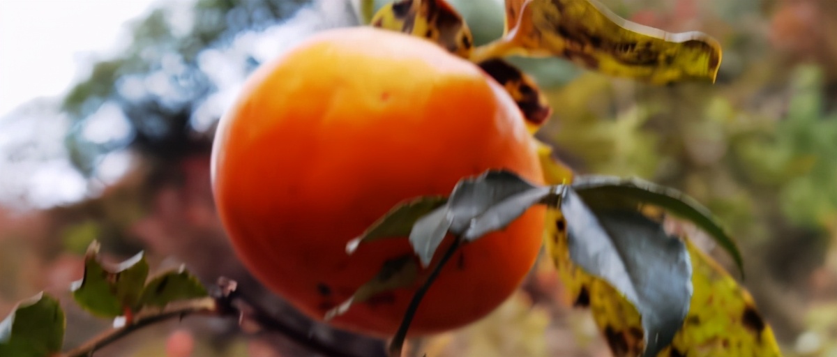 自由光全系车型,自由光2.0l驾驶感受