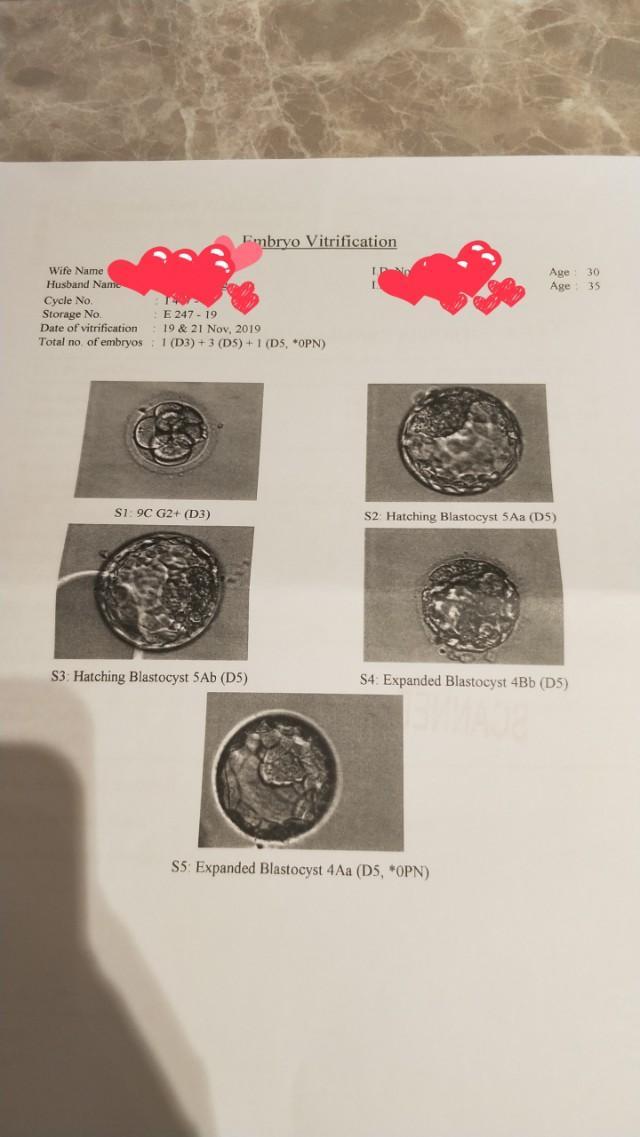 七年婚姻的结局,二婚试管之路的艰辛