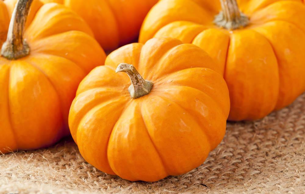 孩子个子矮小用什么偏方,孩子个子矮小如何补救