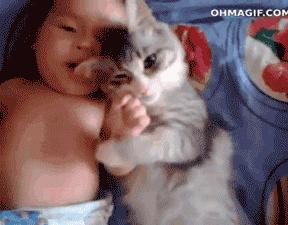 养宠小芝士|怀孕难道不能养猫吗?这里有你想要的答案