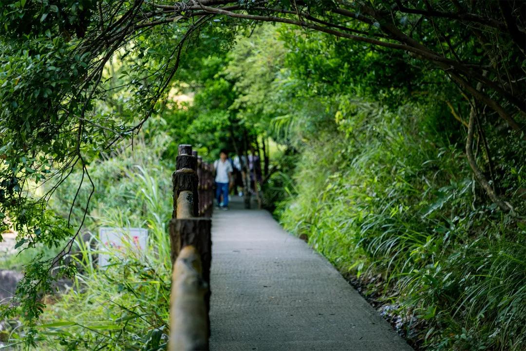 深圳值得去的地标,深圳值得去的景点排行榜