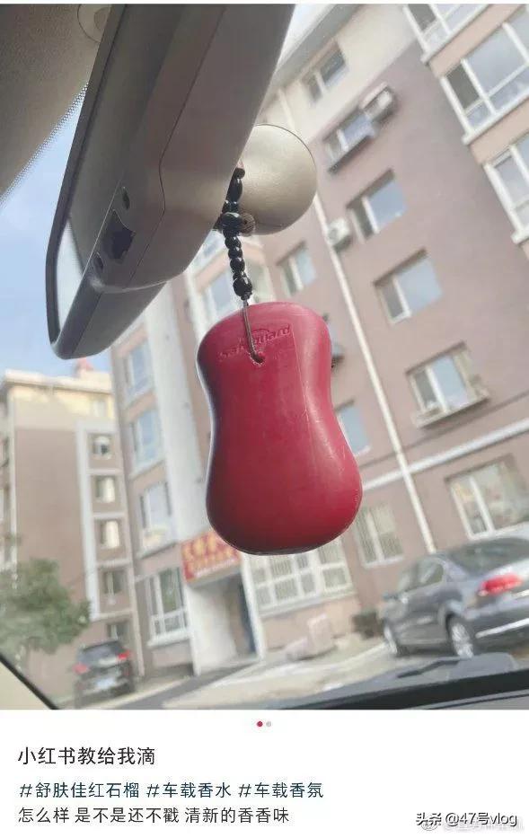 家里两只猫咪可以一起养吗,家里有宝宝适合养什么猫咪