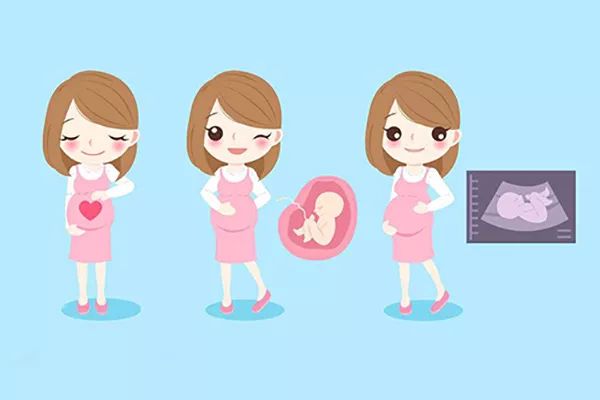 十月怀胎期间会不会来姨妈,宝宝怀胎10月最怕的是什么