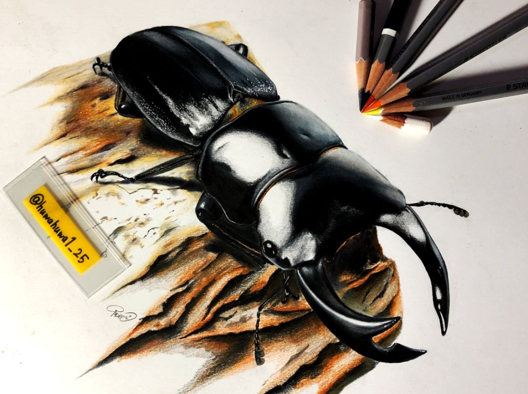 失明女孩铅笔画,保护视力守护心灵素描画