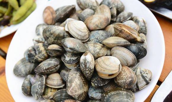 来一盆花蛤，藏不住的鲜