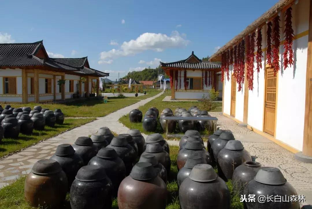 延边改革开放40周年变迁,延吉改革开放变化