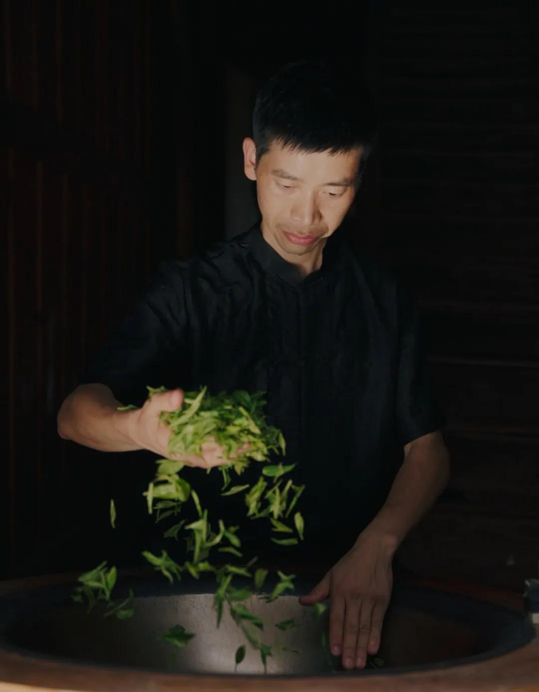 靠一片绿叶带乡亲致富，这位老兵的创业之路太牛了！