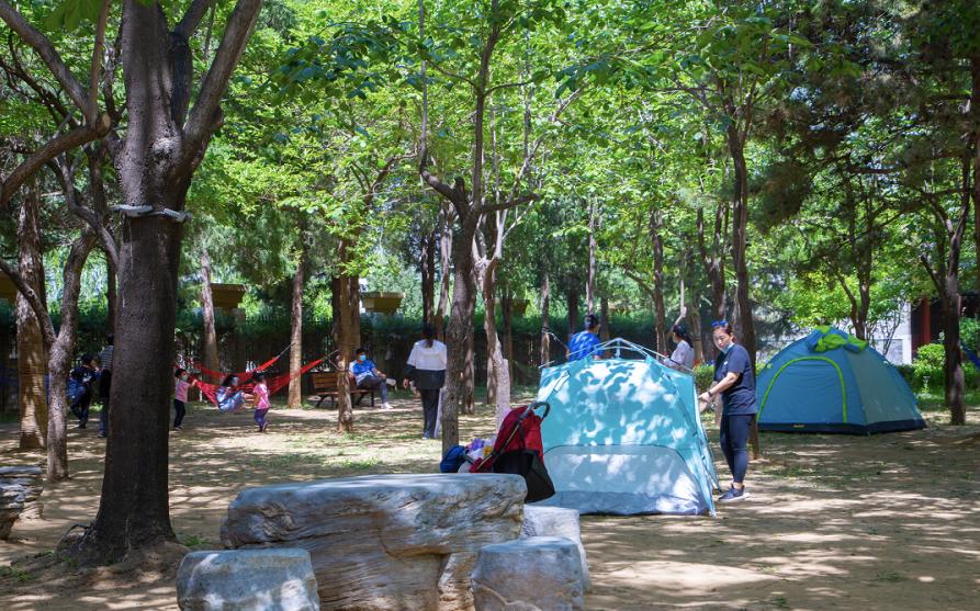 北京4月踏青的地方丰台区有哪些,丰台踏青好去处