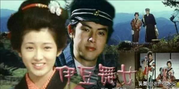 昆虫标本树脂竹节虫,昆虫标本制作竹节虫