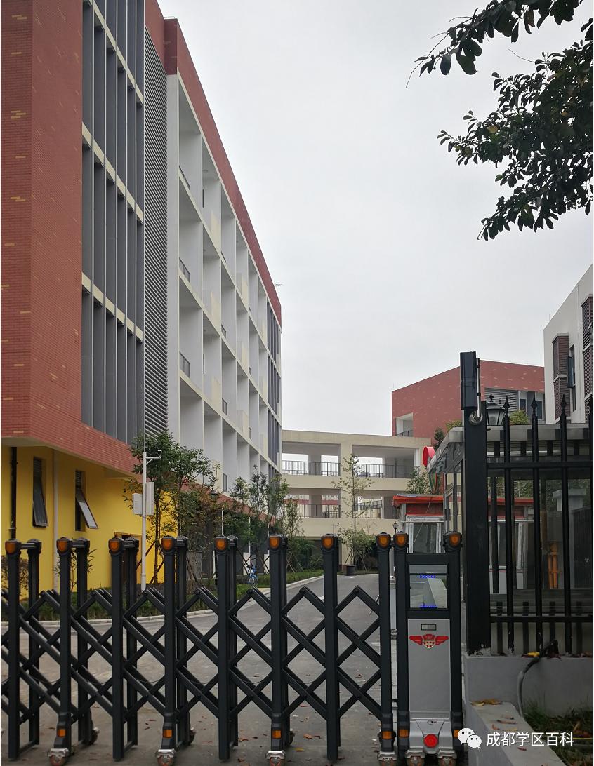 2025年新城区小升初最新政策,高新区2023小升初政策