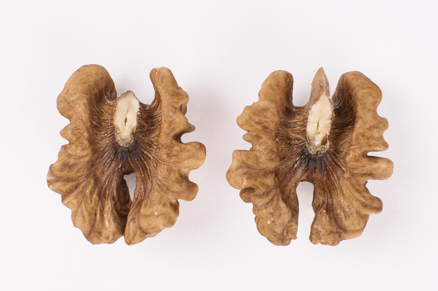 儿童吃哪种核桃仁最好,大人小孩都爱吃的山核桃仁