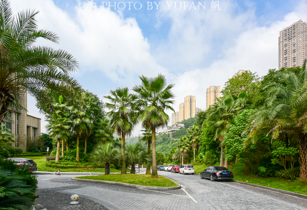 重庆3天2夜就这么玩打卡网红景点,重庆旅游必去的地方网红打卡