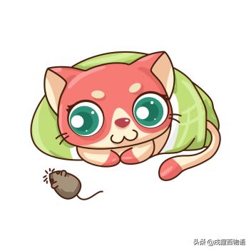 猫咪不睡窝喜欢睡床,猫窝猫咪不睡怎么办