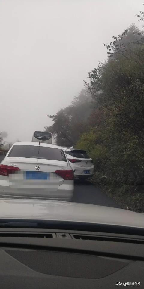 深圳司机素质好不好,四川司机素质排行