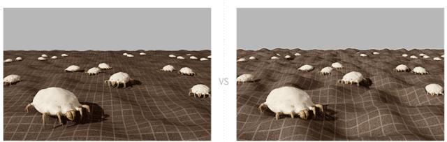 床单不洗螨虫成千上万,床单30天不洗竟螨虫成堆