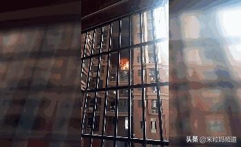 日本警示教育现场演绎交通安全,日本卡车在学校撞击儿童