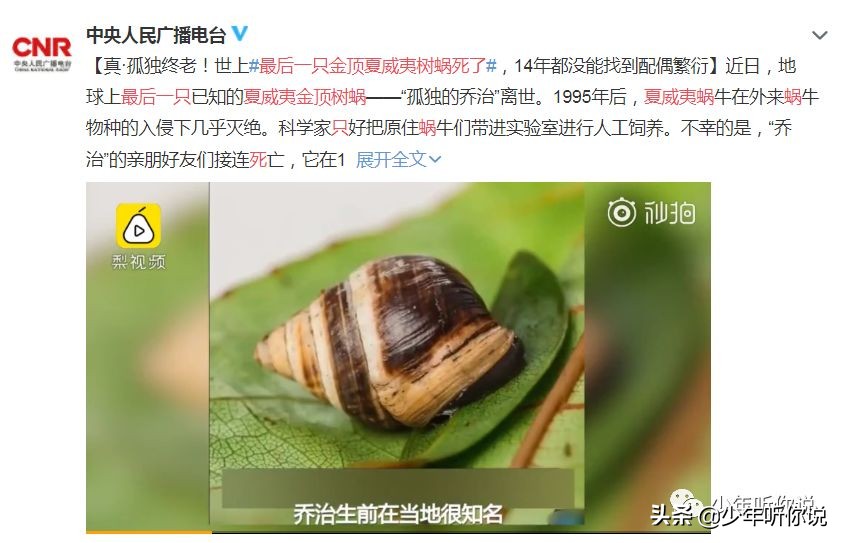 近期因为人类导致的物种灭绝,科普五次物种灭绝事件